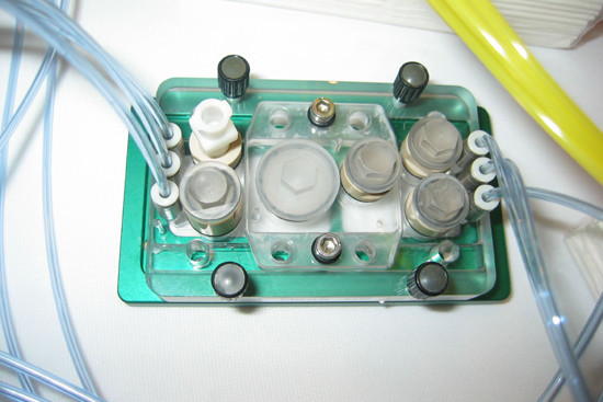 Multi-organ-chip