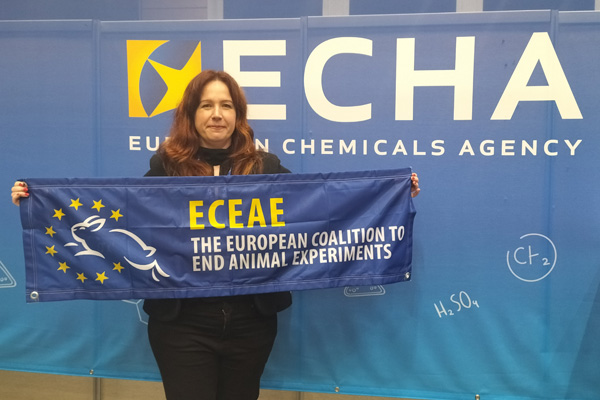 3rd Commission workshop on the Roadmap towards phasing out animal testing for chemical safety
