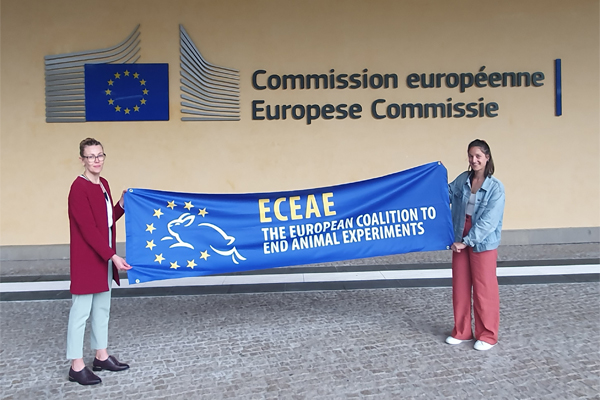 ECEAE